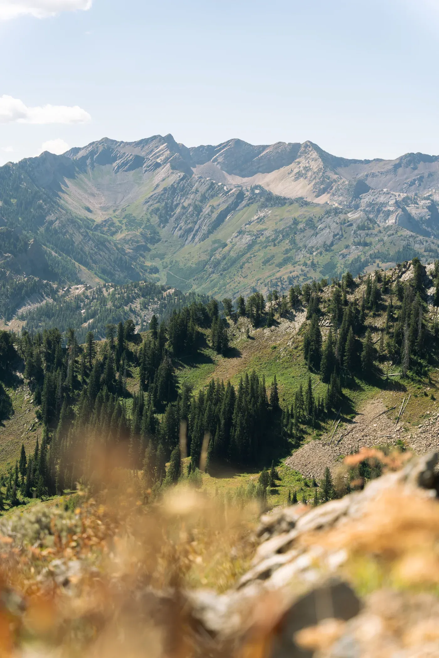 Green alpine valleys and rocky peaks in Utah’s Wasatch Mountains.